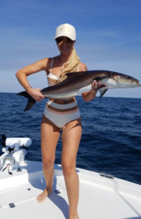 Cobia Destin Florida