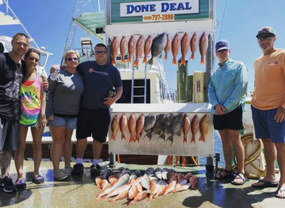 vermillion snapper triggerfish