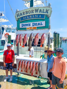 red snapper grouper bonito done deal destin florida offshore fishing