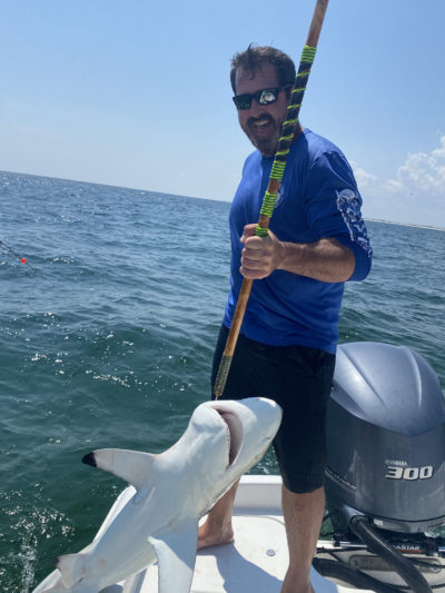 shark fishing in destin florida fishing charters