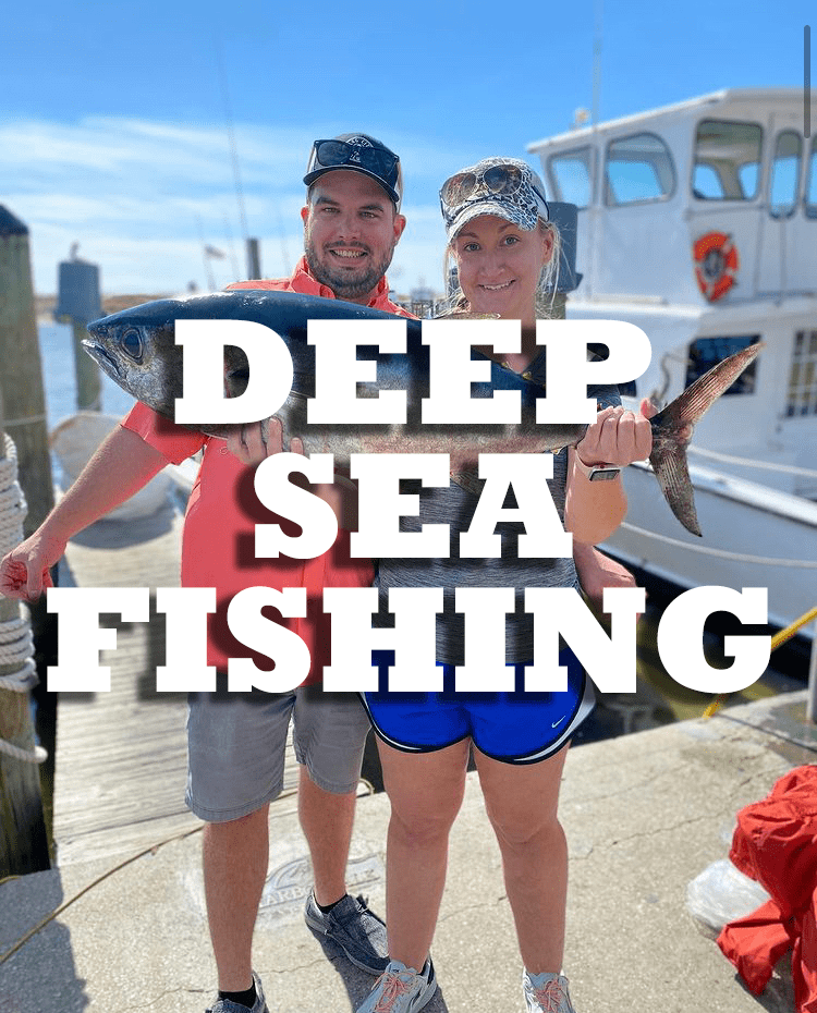 Book Now - Deep Sea Sportfishing