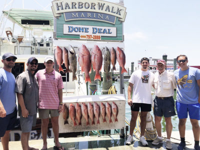 Offshore Deep Sea Fishing: An Experience You'll Never Forget!