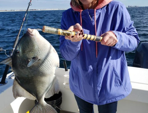 The Thrill of Triggerfish Fishing in Destin, Florida