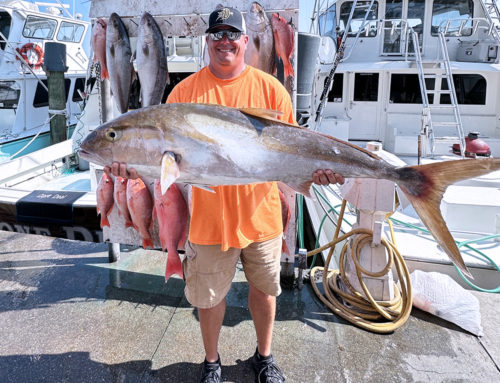 Amberjacks – The Golden Prize of Gulf Fishing