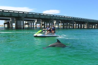 dolphin cruise excursion in Destin Florida