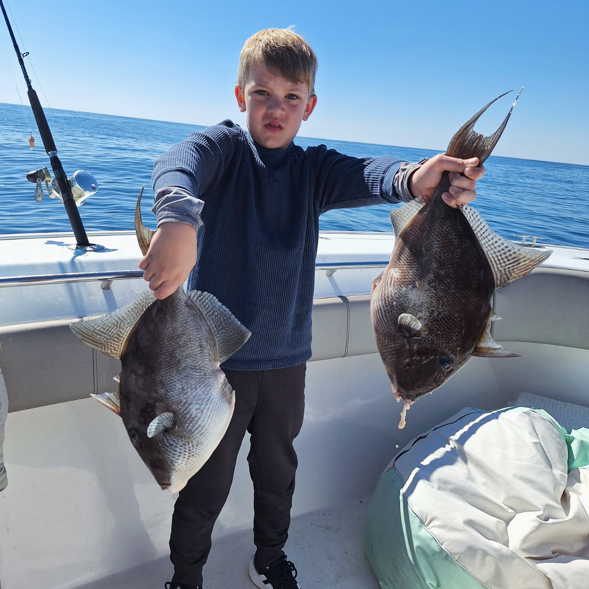 banjo triggerfish destin florida