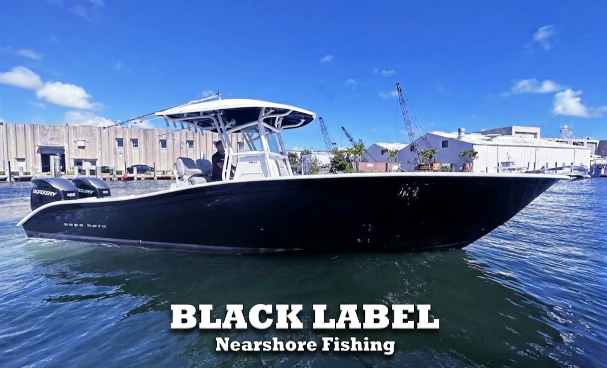 black label destin florida nearshore fishing